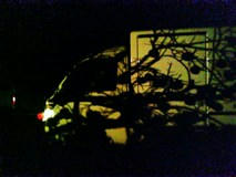 F101000011.jpg