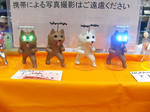 IMG_3811M.jpg