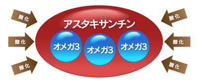 クリルオイルの中にあると酸化しにくいオメガ３