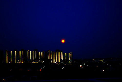 IMGP1725-3.jpg