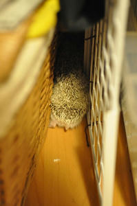 20090514_012538.jpg