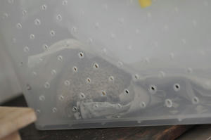 20090821_172546.jpg