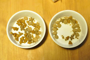 20091005_040036.jpg