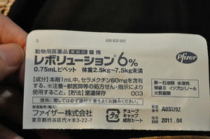 20091021_184826.jpg