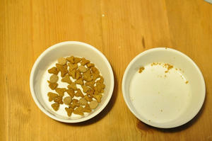 20091026_050810.jpg