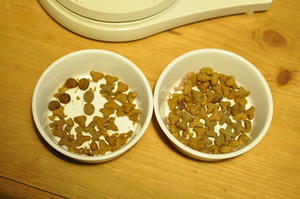 20091113_064918.jpg