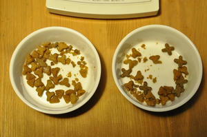 20091119_054120.jpg