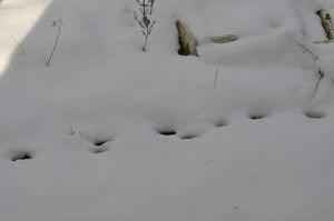 20100114_143116.jpg