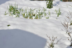 20100114_143120.jpg