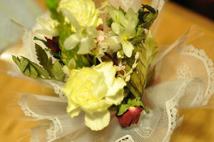 20100124_013528.jpg