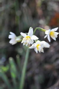 20100223_141608.jpg