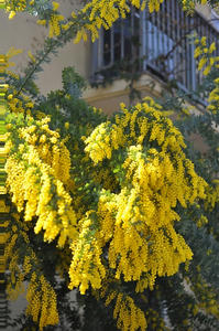 20100228_122832.jpg
