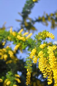 20100228_122902.jpg