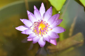 20100831_124230.jpg