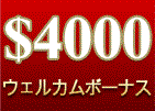 ノーブルカジノ　ボーナス　4000ドル