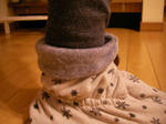 SANY0685.JPG