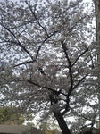 110401_152255.jpg