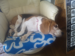 120126_151342.png