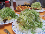 120128_003351.png