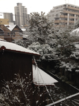 IMG_2267.png
