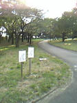 07-10-07_16-07.jpg