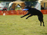 DDGP09Final
