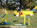 &amp;quot;URAN&amp;quot; TOGO BORDER 