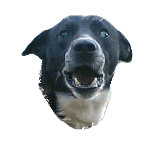 riku
