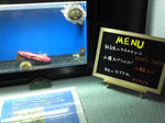 otaru2_uni