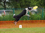 DDGP#3_2011