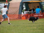 DDGP#3_2011