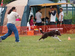 DDGP#3_2011