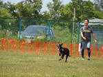 DDGP#3_2011