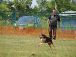DDGP#3_2011