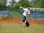 DDGP#3_2011