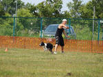 DDGP#3_2011