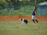 DDGP#3_2011