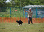 DDGP#3_2011