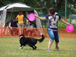 DDGP#3FREE_2011