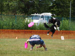 DDGP#3FREE_2011