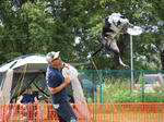 DDGP#3FREE_2011