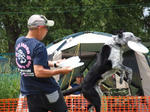 DDGP#3FREE_2011
