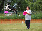 DDGP#3FREE_2011