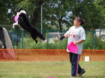 DDGP#3FREE_2011