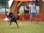 DDGP#3STAFF_2011