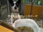 9/10の朝