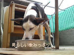 9/10の朝