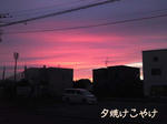 9/10の夕方