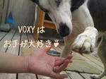 VOXY
