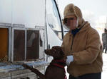 SLED DOG RACE in ASAHIKAWA 2012